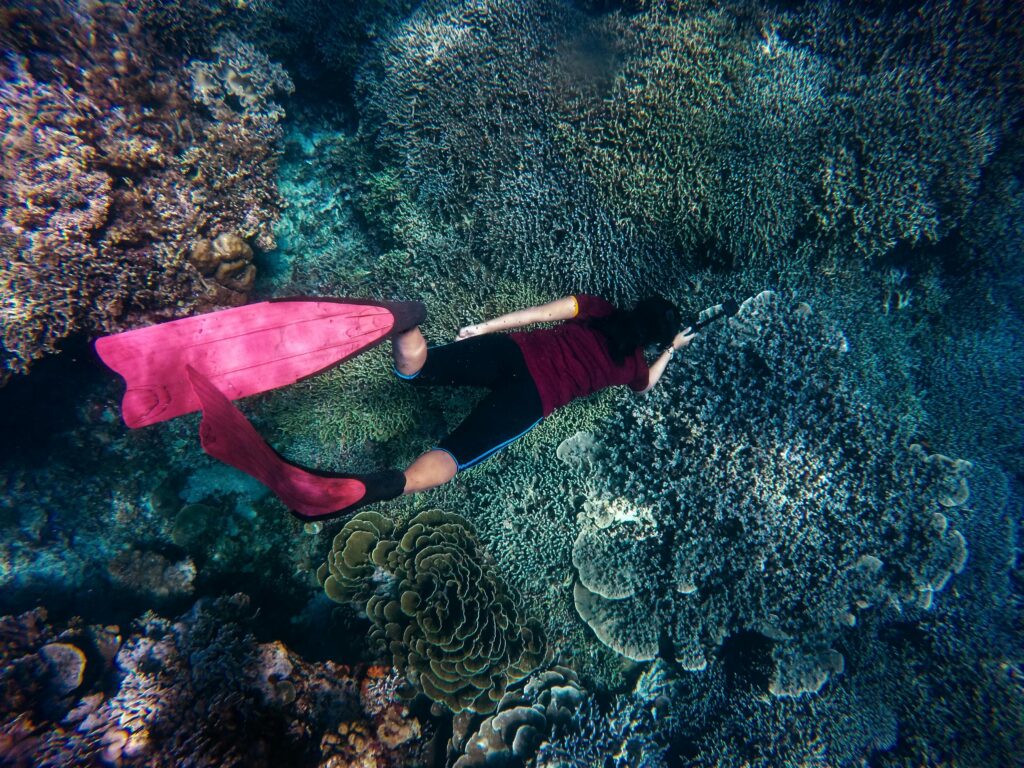 A freediver explores colorful coral reefs with pink fins in clear ocean water.